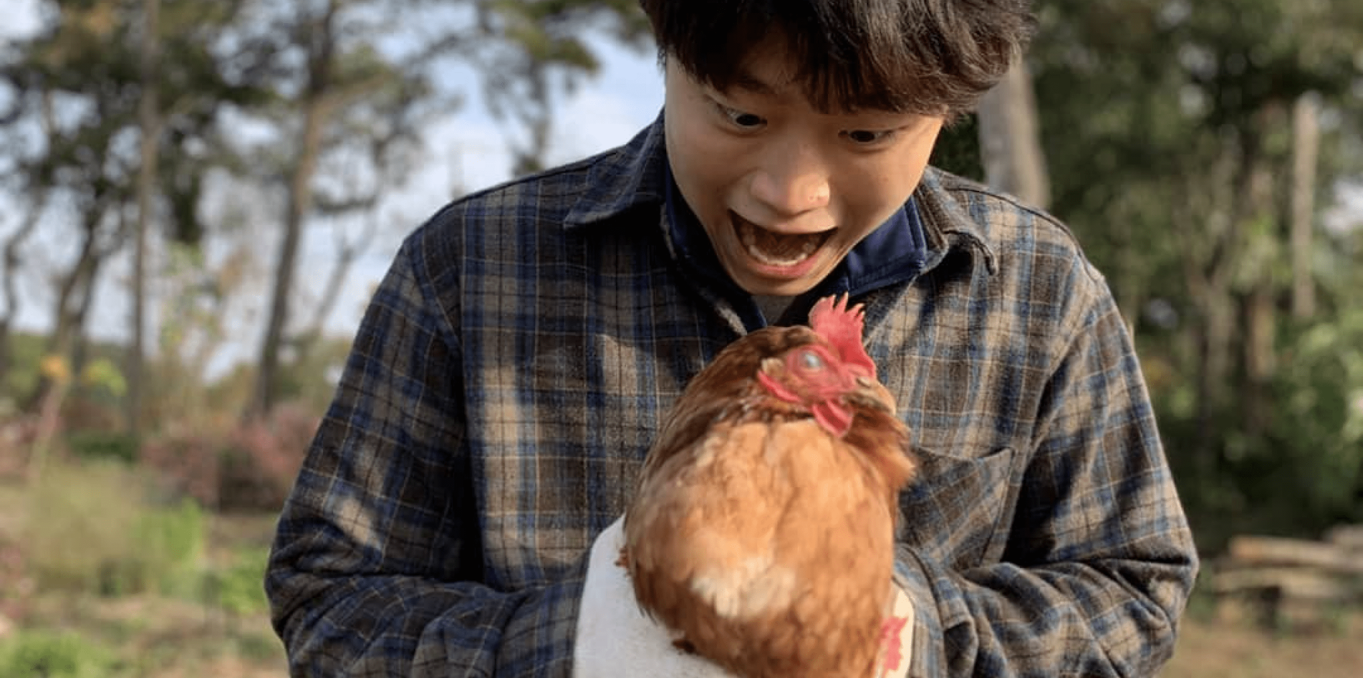 닭을 보고 즐거워 하는 청년
